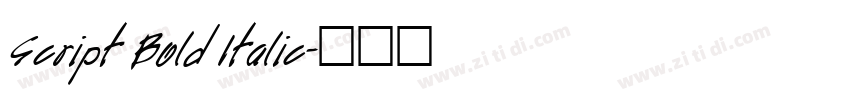Script Bold Italic字体转换